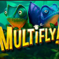 Multifly! - 5 USD (real FS) PlayFortuna