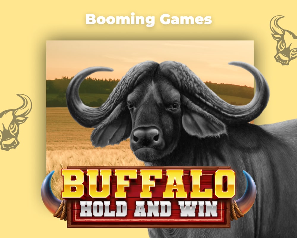 Buffalo Hold and Win.JPG