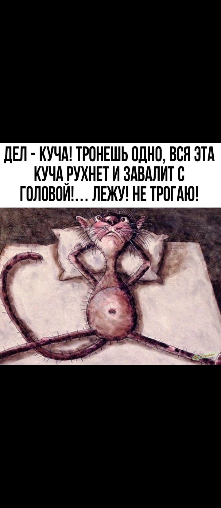 Screenshot_2023-11-03-10-48-13-741_com.vkontakte.android.jpg