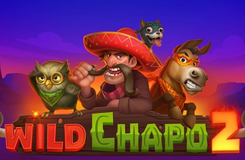 Wild Chapo 2.JPG