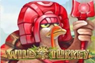 wild Turkey.jpg