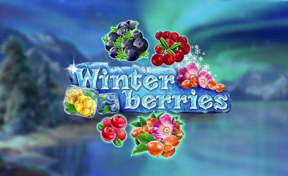 Winterberries .JPG